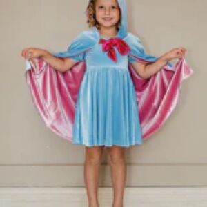 Velvet Midnight Fairy Godmother Dress Taylor Joelle 3T